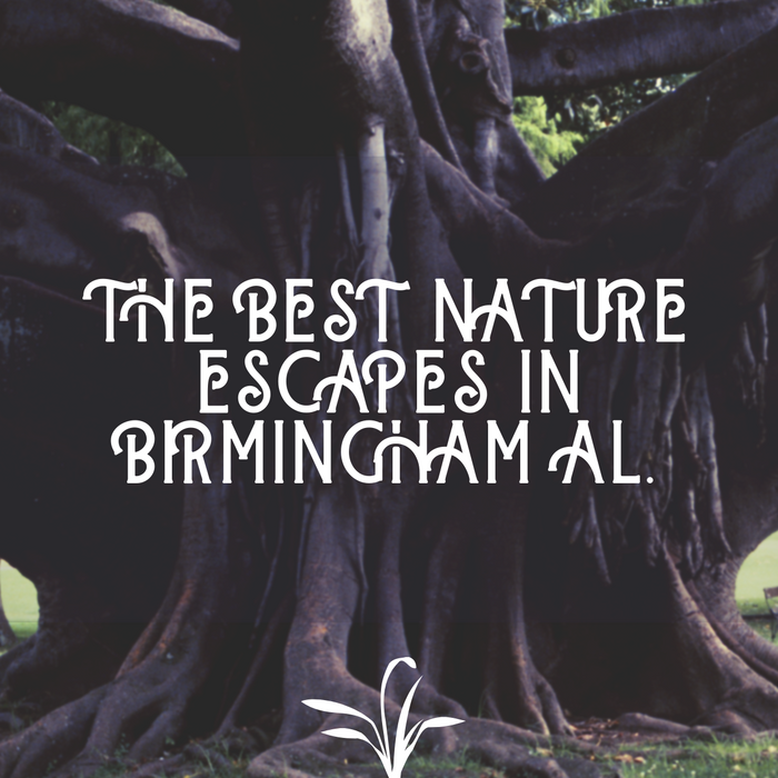 Plant - The Best Nature Escapes in Birmingham AL