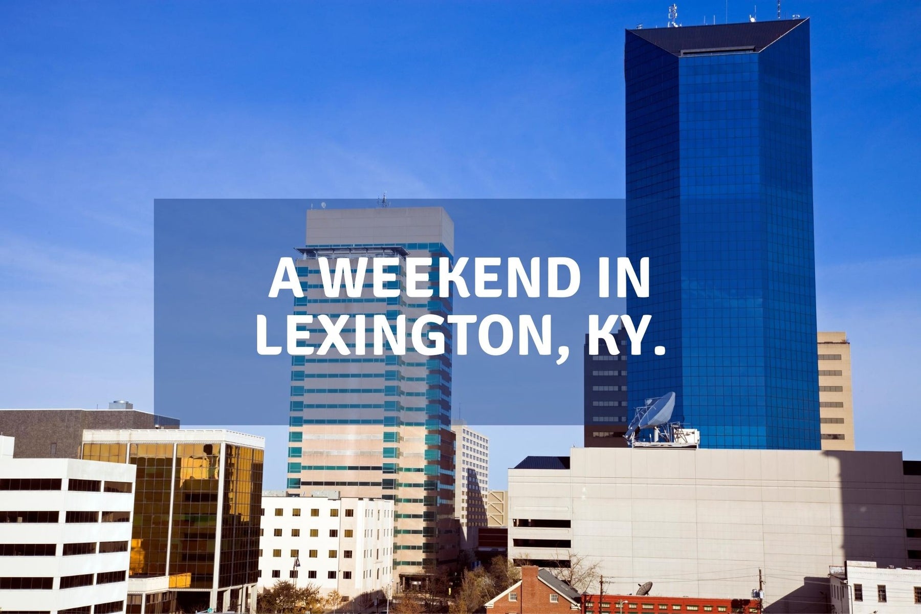 things to do in lexington ky