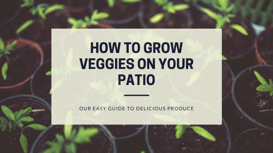 How To Grow Container Vegetables On Your Patio