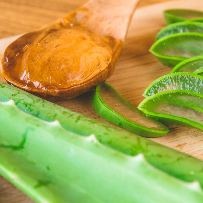 Aloe Vera for Summer Skincare