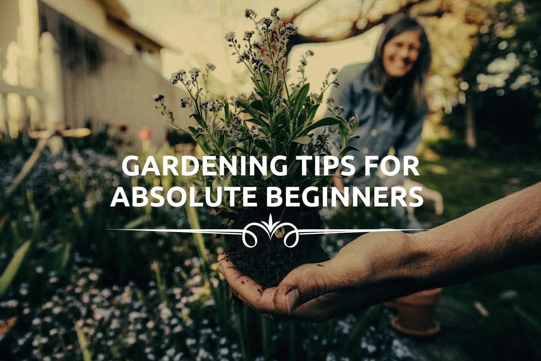 Vegetable Gardening tips for beginners