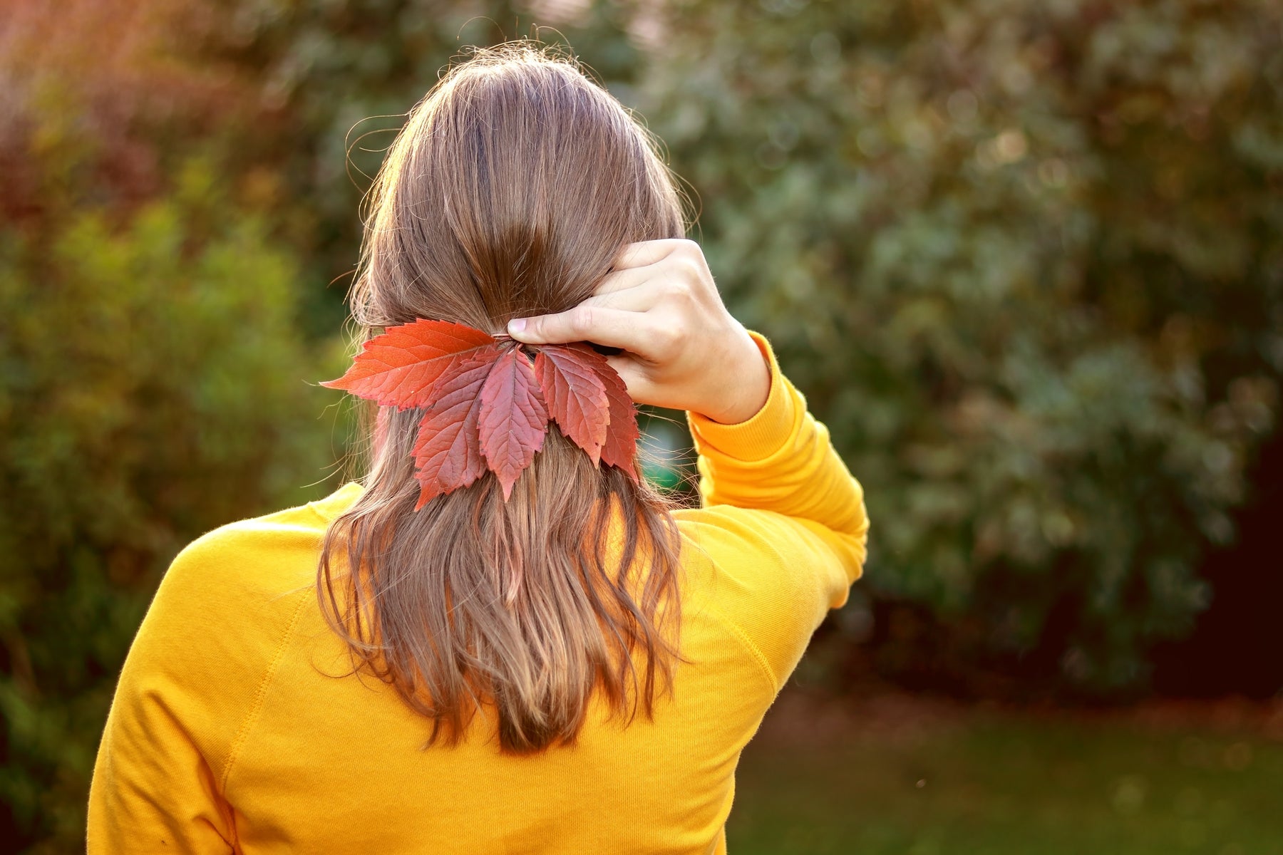 How to Transition to Natural Hair: Steps for a Smooth Journey