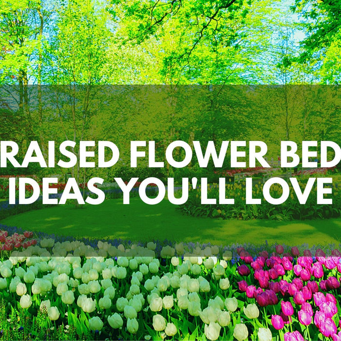 Plant - Raised Flower Bed Ideas You’ll Love